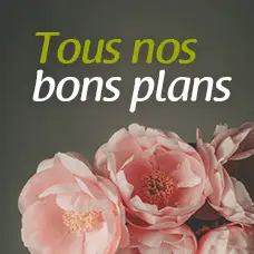 Bons plans